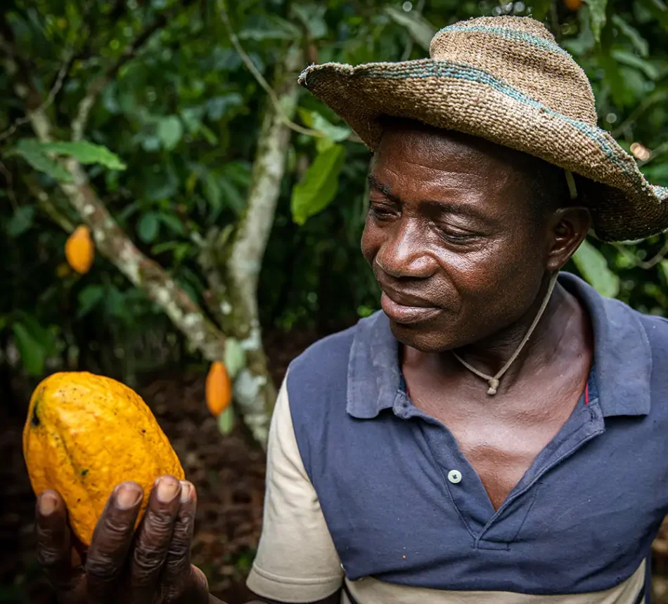 Cacao Boeren Ivoorkust